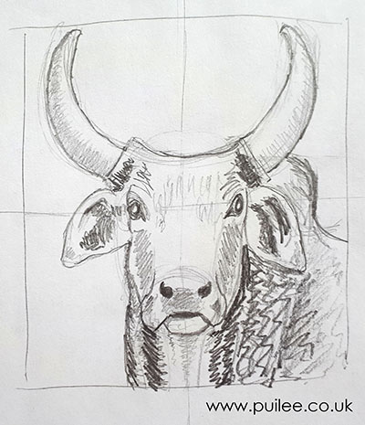 Ox (2021) pencil on paper by Artist Pui Lee